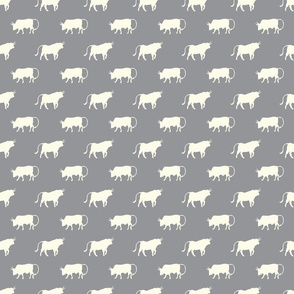 bulls on grey