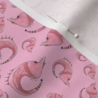 Pooty Fish Pink Background