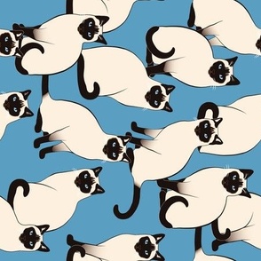 Siamese Cats rotated