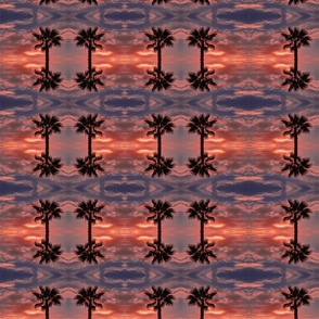 Palm Sunset 10