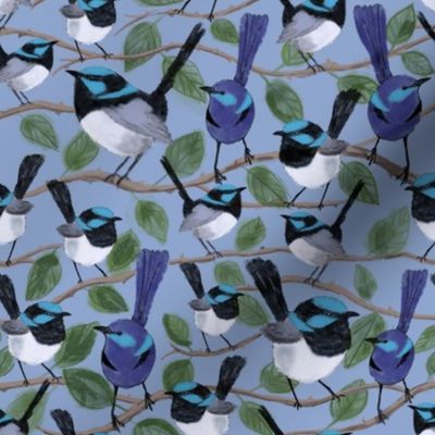 Watercolour blue wrens 
