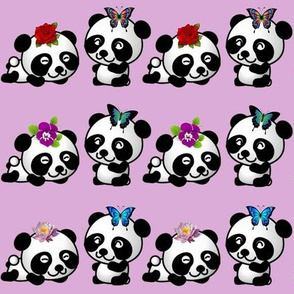 Playful Pandas - Lilac