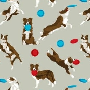 border collie disc dog - brown border collie, brown border collies, dog, dogs fabric, disc dog fabric