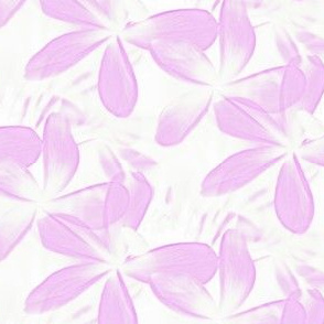frangipani in pink - large - painting effect