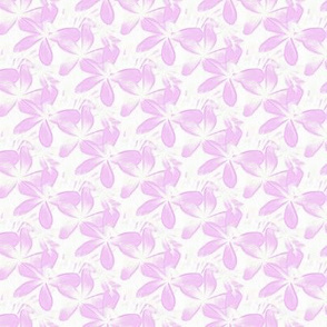 frangipani in pink - small - painting effect