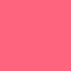 Pink Lemonade solid color FF647C