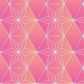 cactus geometric pink orange desert