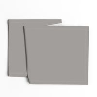 Pidgeon Mid Grey Solid Color