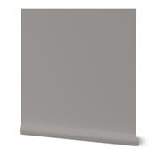 Pidgeon Mid Grey Solid Color