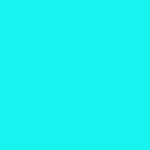 Bright Cyan Blue Solid Color 15f4EE 