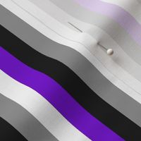 Asexual Pride Stripes 1/2 Inch