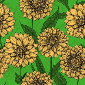 Dahlias in yellow and green