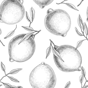 Hand drawn Lemon pattern