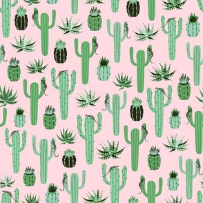 cactus - light pink background