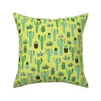 cactus - lime background