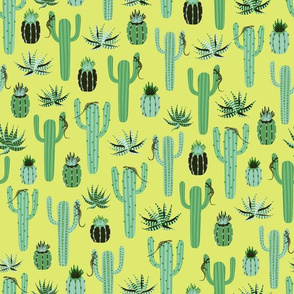 cactus - lime background