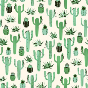 cactus - white background