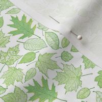 small green leaf etchings