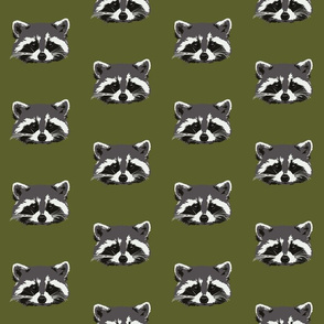 Randall the raccoon in green - small