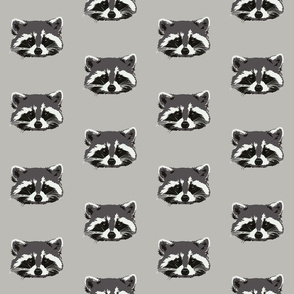 Randall the raccoon in grey - small