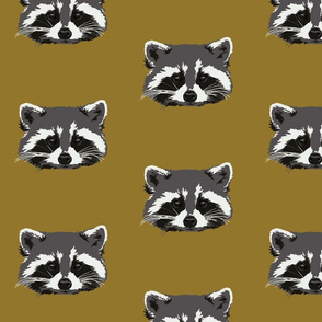 Randall the raccoon in ochre