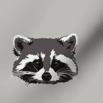 Randall the raccoon in grey