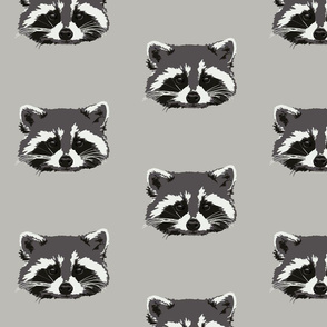 Randall the raccoon in grey