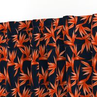 orange birds of paradise