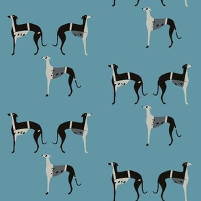 funny greyhounds