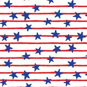 stars and stripes - red and blue  - LAD19