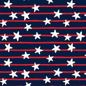stars and stripes - red & white on blue - LAD19
