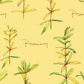 Rosemary Honey