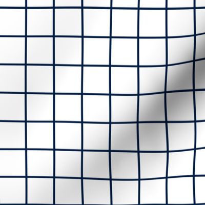 1 inch white with navy grid