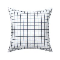 1 inch white with navy grid