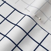 1 inch white with navy grid