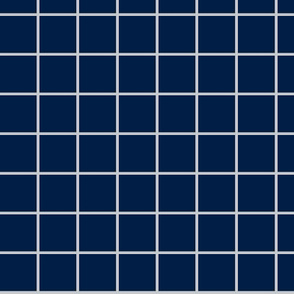 1 inch navy with gray grid