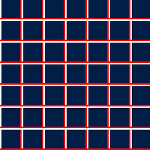 1 inch navy with red and white grids