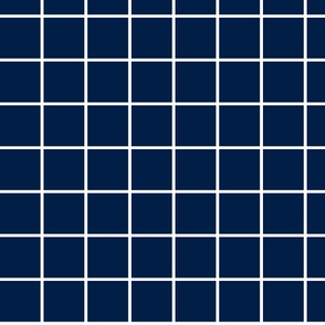 1 inch navy with white grid