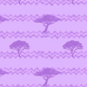 Purple Acacias