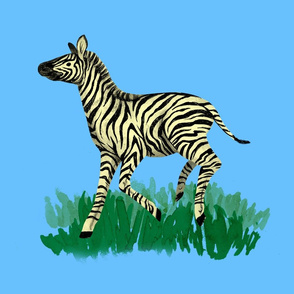 Sky Blue Zebra