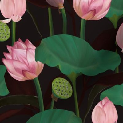 Moody Floral lotus flowers