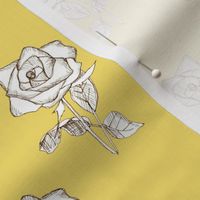 White Rose on Yellow