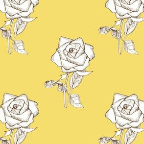 White Rose on Yellow