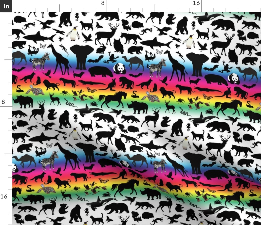 Animal Kingdom - Rainbow, White
