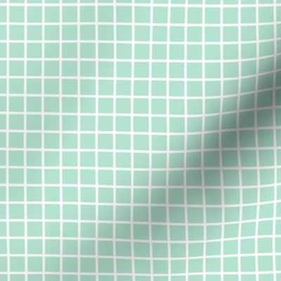 windowpane 1/2" mint green reversed