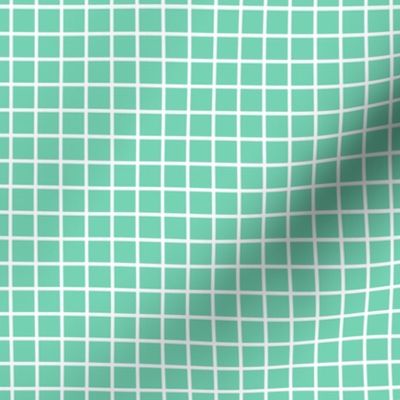 windowpane 1/2" sea foam green reversed