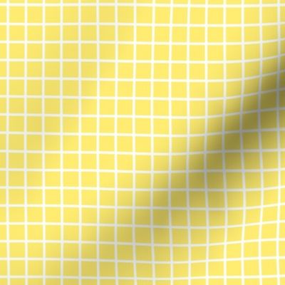 windowpane 1/2" lemon yellow reversed