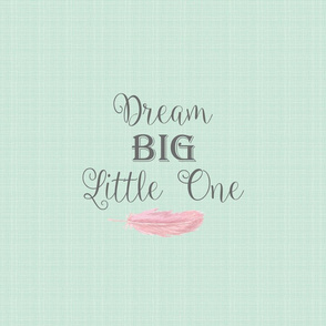 Dream Big Little One - Minky Pillow Fat Quarter size