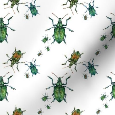 Green Bugs