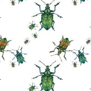 Green Bugs